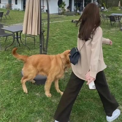 女子的生活
